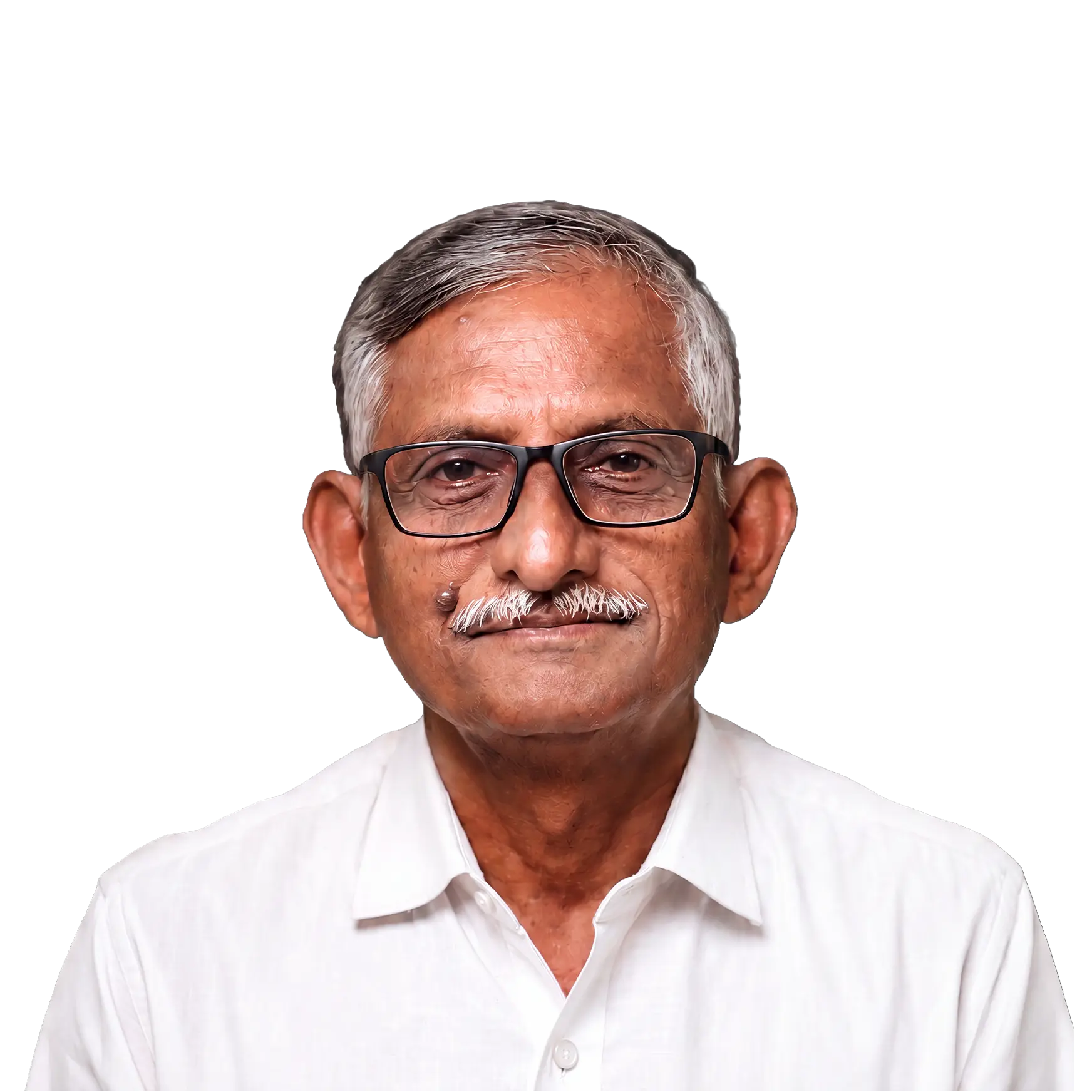 K VNL Narasimha Rao