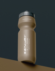 Project Showcase 2