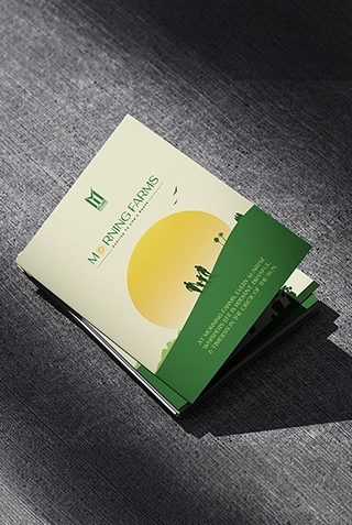 Project image 4
